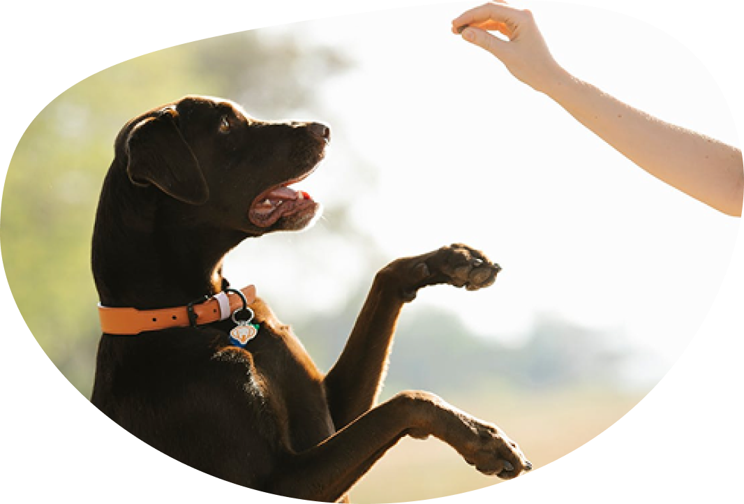 体験でできること